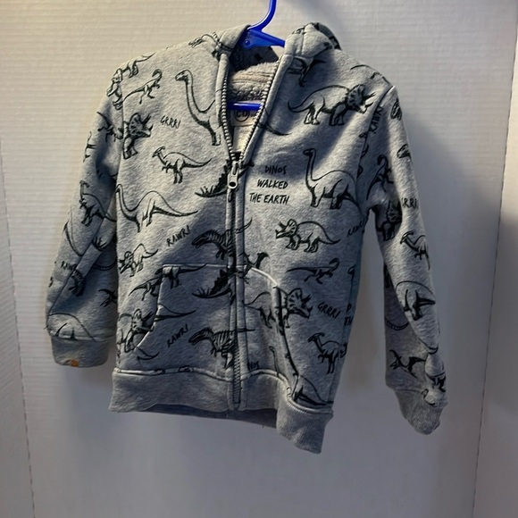 Dinosaurs hoodie size 3T - Picture 1 of 4